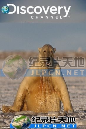 动物绝技大公开第01集