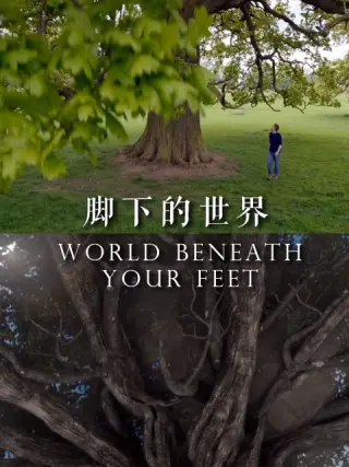 脚下的世界第01集