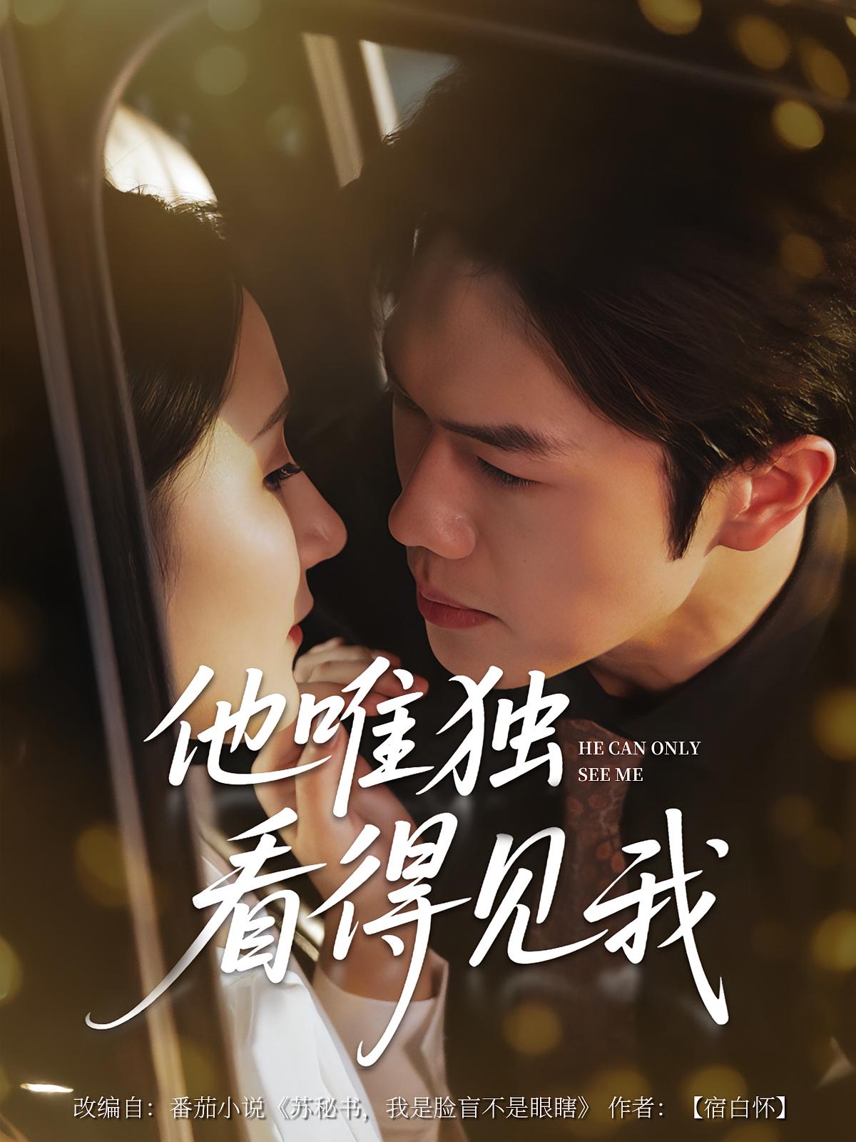 他唯独看见我(全集)