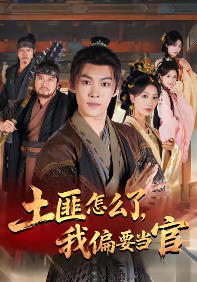 土匪怎么了，我偏要当官(全集)