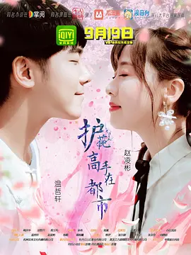 护花高手在都市第04集