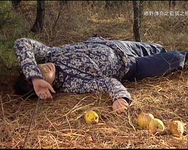 蓝狐之恋第01集