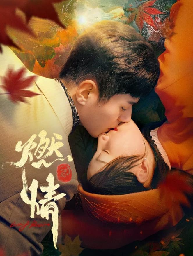 燃情第12集