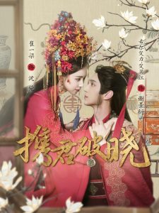 携君破晓全集(大结局)