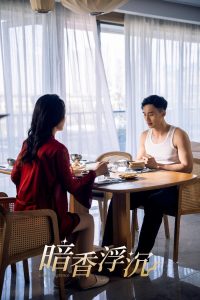 暗香浮沉全集(大结局)