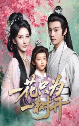 一花只为一树开(全集)