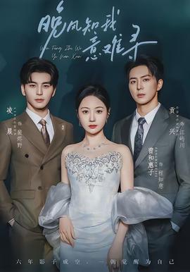 晚风知我意难寻(全集)