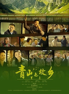 青山是故乡第19集