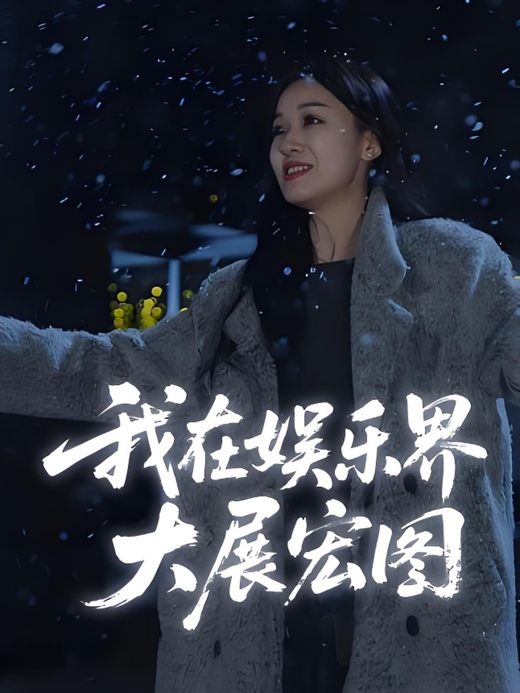 我在娱乐界大展宏图(全集)